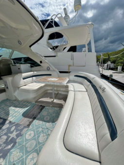 
										SEA RAY SUNDANCER 48 full									