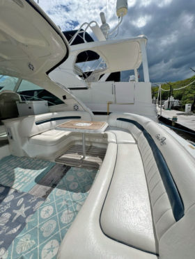 SEA RAY SUNDANCER 48