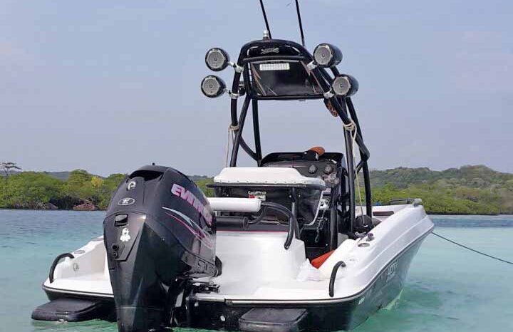 
								PROMARINE WAKE 21 full									