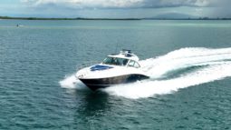 
										SEA RAY SUNDANCER 48 full									