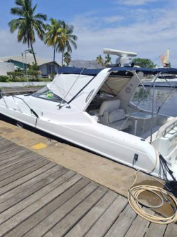 
										CHRIS CRAFT SPORT 34 full									