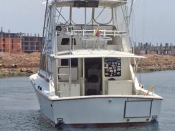 BERTRAM 38