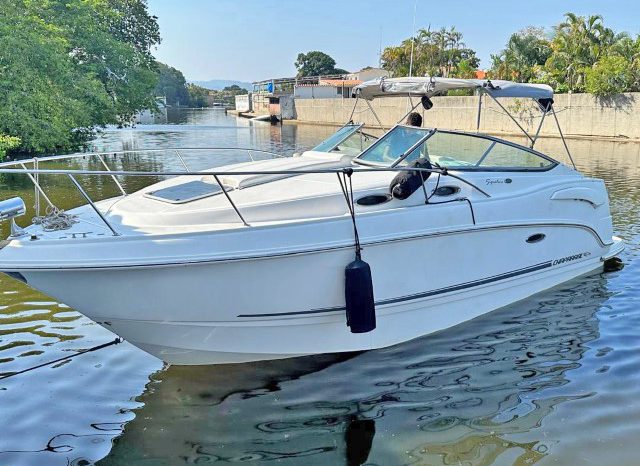 
								CHAPARRAL 30 full									