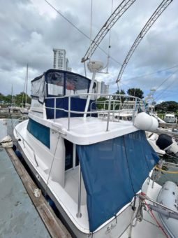 
										MAINSHIP 35 full									