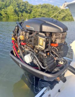 
										MOTOR MERCURY 115 HP full									