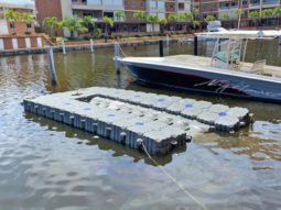 
										MUELLE FLOTANTE 21 full									