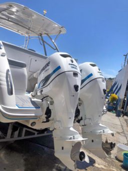 
										PAREJA MOTORES EVINRUDE E-TEC 300 HP full									