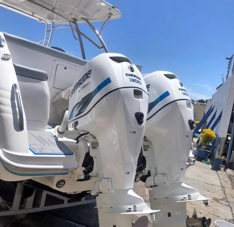 
								PAREJA MOTORES EVINRUDE E-TEC 300 HP full									