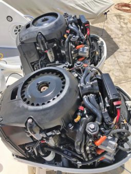 
										PAREJA MOTORES EVINRUDE E-TEC 300 HP full									