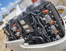 
										PAREJA MOTORES EVINRUDE E-TEC 300 HP full									