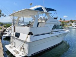 
										SEA RAY AC 38 full									