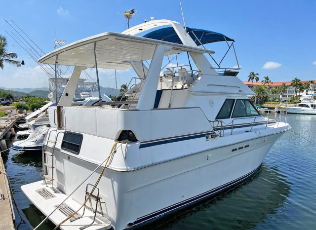 
								SEA RAY AC 38 full									