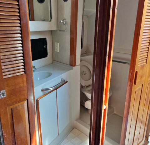 
								SEA RAY AC 38 full									