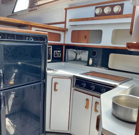 
								SEA RAY AC 38 full									