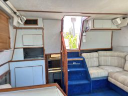 
										SEA RAY AC 38 full									