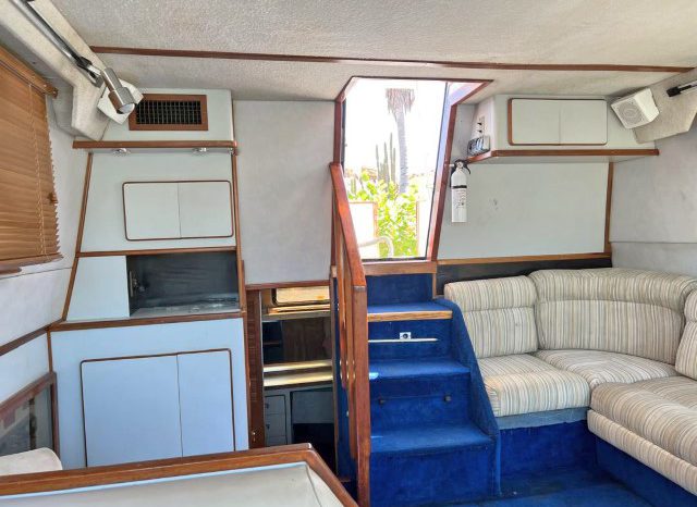 
								SEA RAY AC 38 full									