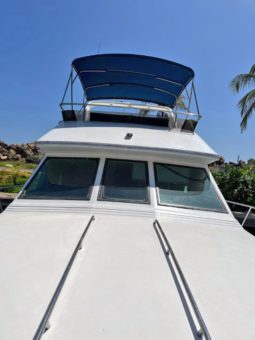 
										SEA RAY AC 38 full									