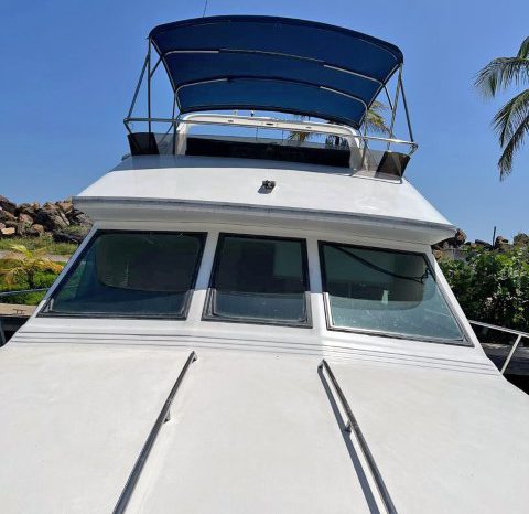 
								SEA RAY AC 38 full									