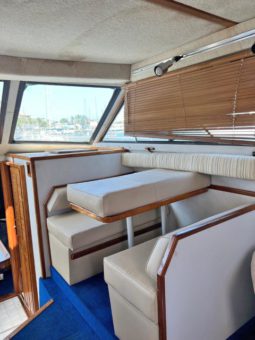 
										SEA RAY AC 38 full									