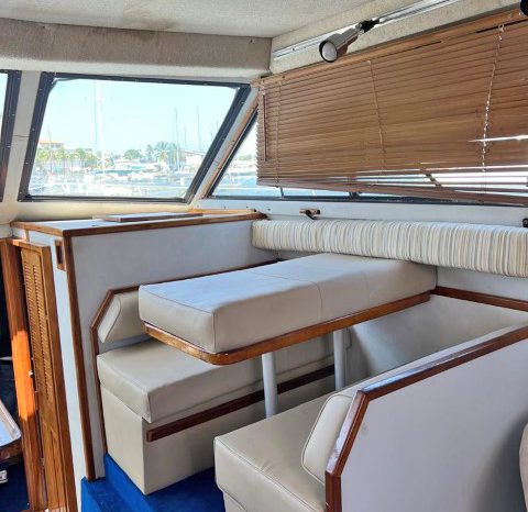 
								SEA RAY AC 38 full									