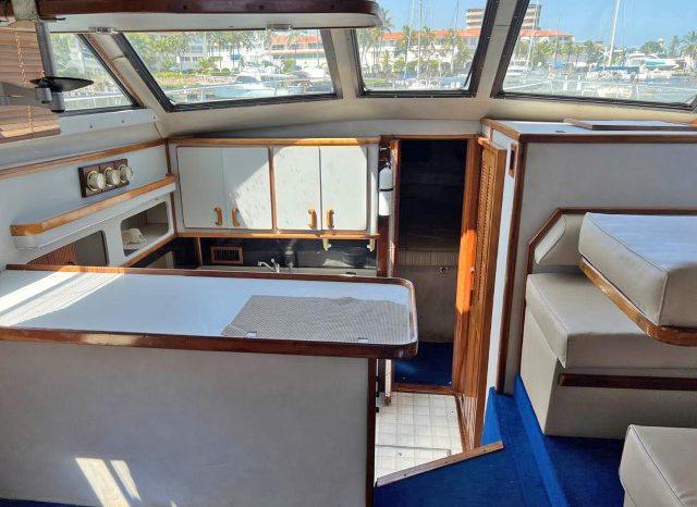 
								SEA RAY AC 38 full									