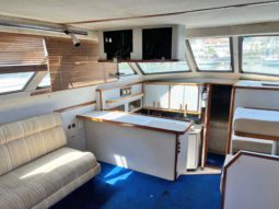 
										SEA RAY AC 38 full									