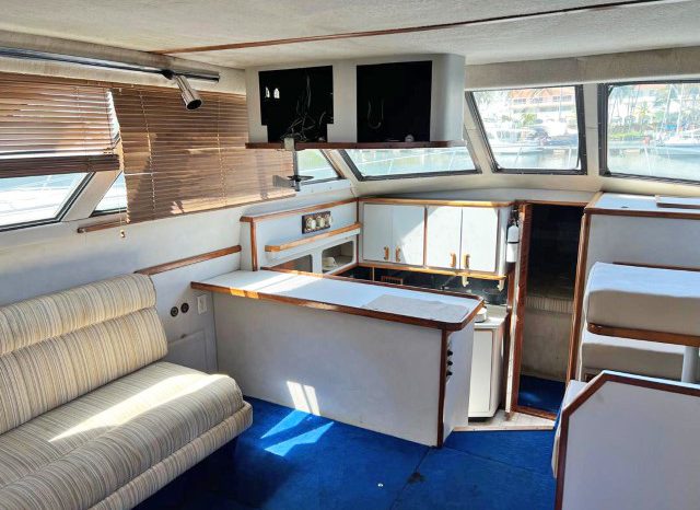 
								SEA RAY AC 38 full									