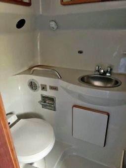 
										SEA RAY AC 38 full									