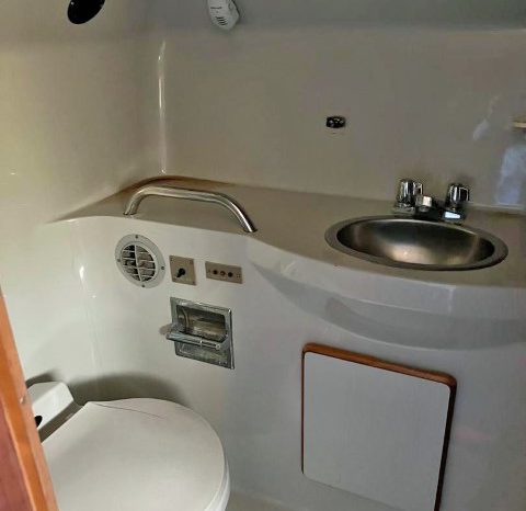 
								SEA RAY AC 38 full									