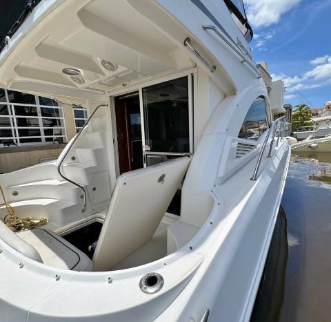 
								SEA RAY SEDAN BRIDGE 36 full									