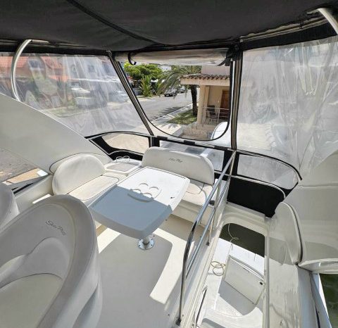 
								SEA RAY SEDAN BRIDGE 36 full									