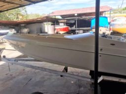 
										BLACK JACK SPORT 26 full									