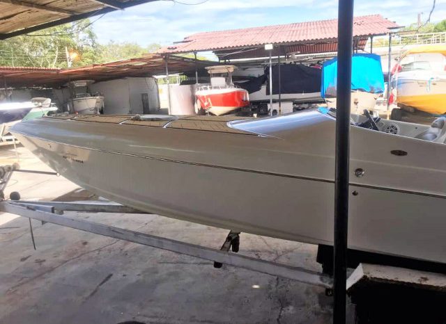 
								BLACK JACK SPORT 26 full									