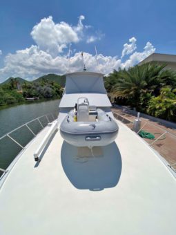 
										HATTERAS CONVERTIBLE 50 full									