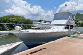 HATTERAS CONVERTIBLE 50