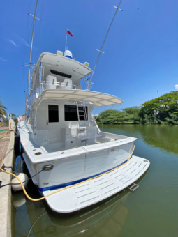 
										HATTERAS CONVERTIBLE 50 full									