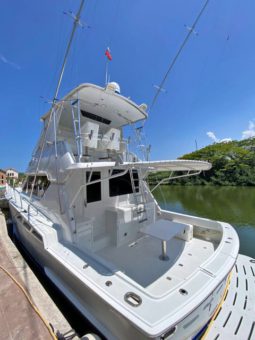 
										HATTERAS CONVERTIBLE 50 full									