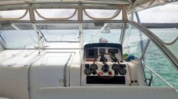 MAINSHIP PILOT 34