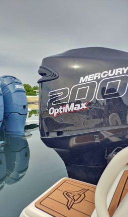 
										PAREJA DE MERCURY OPTIMAX 200 HP full									