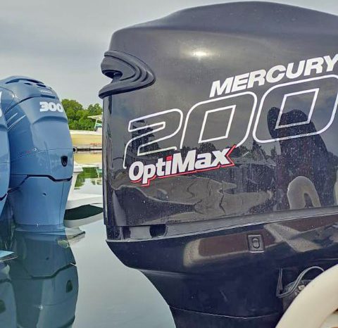 
								PAREJA DE MERCURY OPTIMAX 200 HP full									