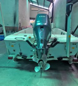 
										SKEETER SALTWATER SX200 20 full									