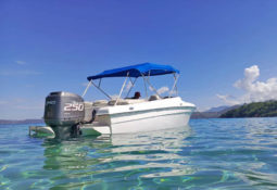 
										COMMANDER ATOMIC BOAT 24 full									