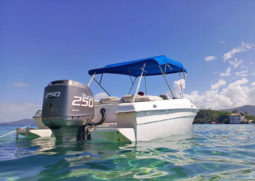 
										COMMANDER ATOMIC BOAT 24 full									