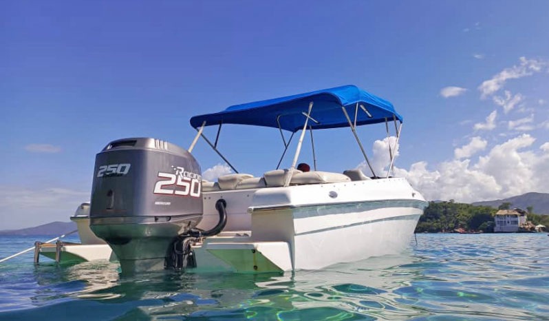 
								COMMANDER ATOMIC BOAT 24 full									