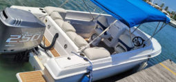 
										COMMANDER ATOMIC BOAT 24 full									