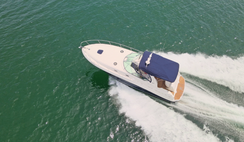 
								SEA RAY SUNDANCER 37.5 full									