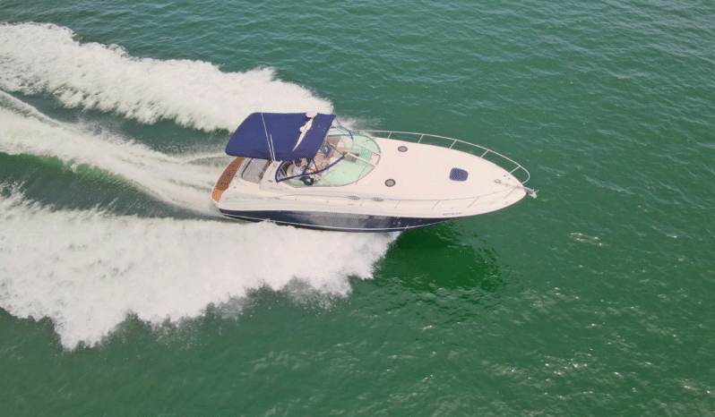 
								SEA RAY SUNDANCER 37.5 full									