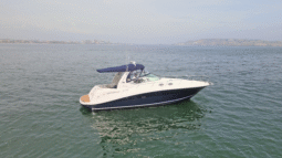 
										SEA RAY SUNDANCER 37.5 full									