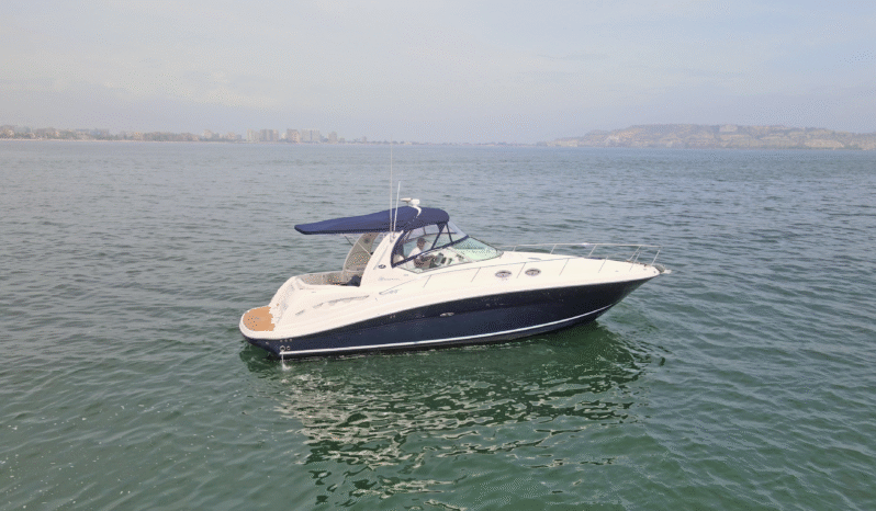 
								SEA RAY SUNDANCER 37.5 full									