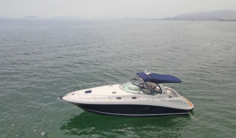 
								SEA RAY SUNDANCER 37.5 full									